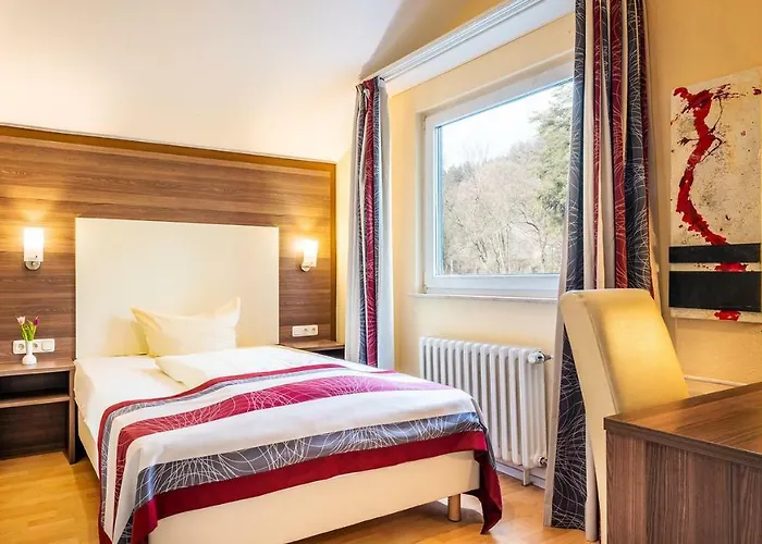 Schroeders Stadtwaldhotel מלון טרייר